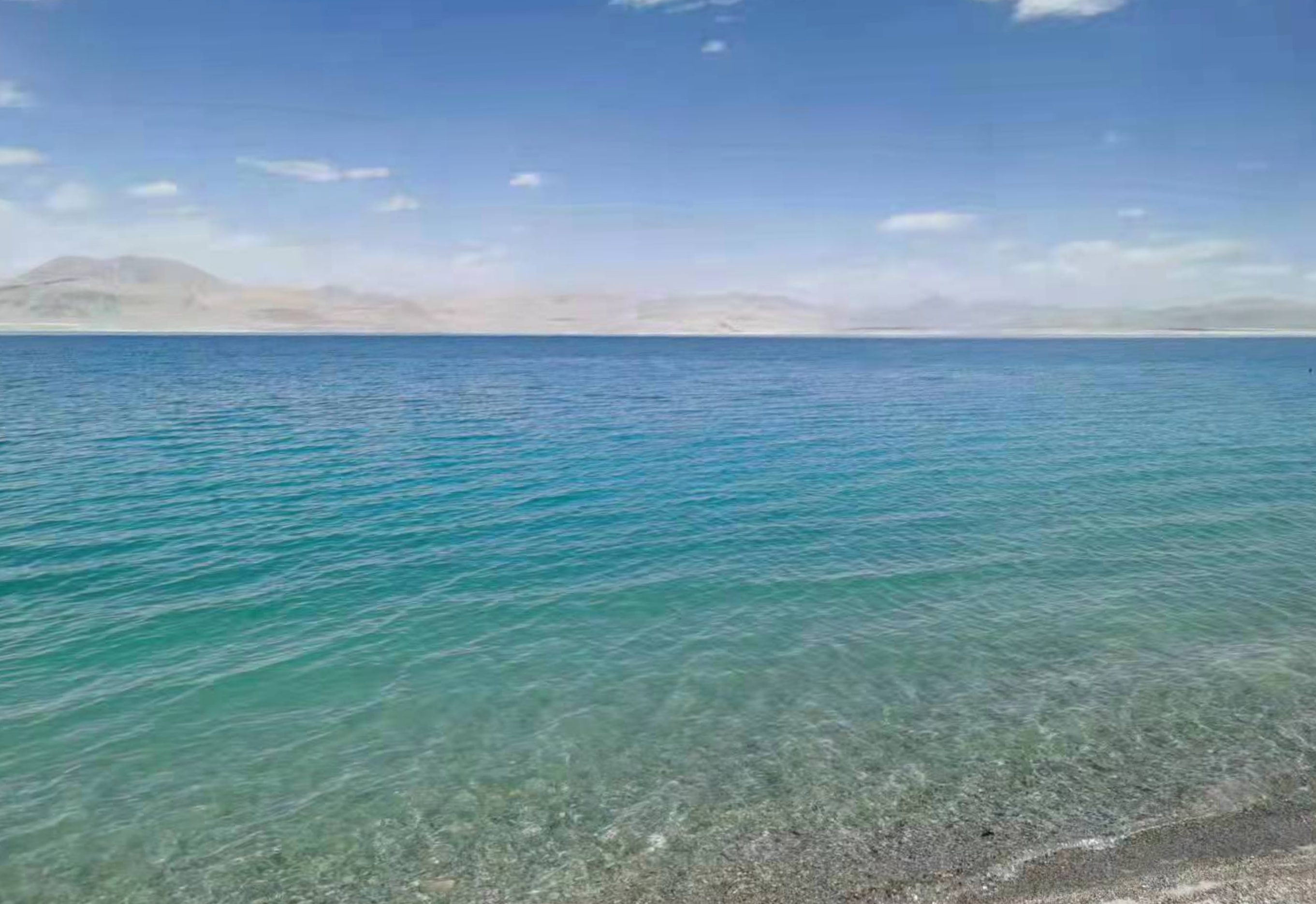 ���ع��ܿ�ҵ���������﮺�ͬ��ǩ�� �����ֿƼ�������﮼�����������ƪ